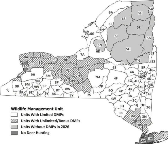 Ready to deer hunt? The New York checklist